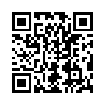 D09P91C4GV00 QRCode