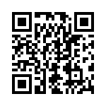 D09S33E6RL09LF QRCode