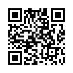 D13007VF13V QRCode