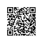 D38999-21HB13DC QRCode