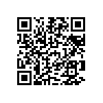 D38999-24FF32BE QRCode