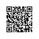 D55342E07B100BPWS QRCode