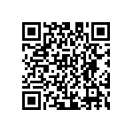 D55342E07B100DRTF QRCode