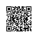 D55342E07B101ARWS QRCode