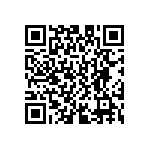 D55342E07B137ERWS QRCode