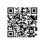 D55342E07B13B5RWS QRCode