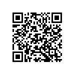 D55342E07B19B3RWS QRCode