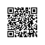 D55342E07B1B29RWS QRCode