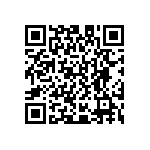 D55342E07B205BRT5 QRCode