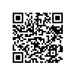 D55342E07B205ERWS QRCode