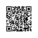 D55342E07B280ERWS QRCode