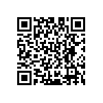 D55342E07B28B0R QRCode