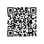 D55342E07B2B00MT0 QRCode