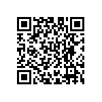 D55342E07B2B49R QRCode