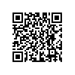 D55342E07B301ERWS QRCode