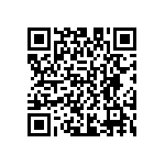 D55342E07B305BRTP QRCode