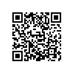 D55342E07B309ERWS QRCode