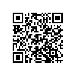 D55342E07B330ERWS QRCode