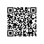 D55342E07B33B2RT0 QRCode