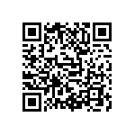 D55342E07B33E2RTP QRCode