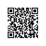 D55342E07B348ERWS QRCode