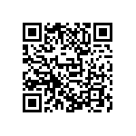 D55342E07B383ERWS QRCode