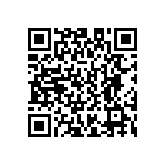 D55342E07B3B40CWS QRCode