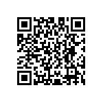 D55342E07B41B2RWS QRCode