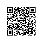 D55342E07B49B9RTP QRCode