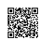 D55342E07B4E99RTF QRCode