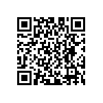 D55342E07B500ERWS QRCode