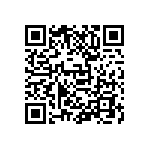 D55342E07B590ERWS QRCode