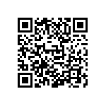 D55342E07B706ARWS QRCode