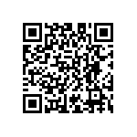 D55342E07B9B31RTP QRCode