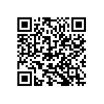 D55342H07B95D3RTP QRCode