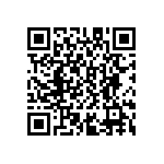 D55342K07B13E0PWSV QRCode