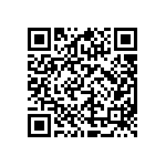 DBE25P0L4A191K87161 QRCode