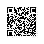 DBM5W5S0L4A191A197 QRCode