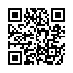 DBMP13W3SJA197 QRCode