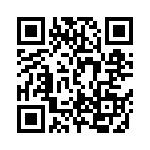 DBMP13X3SJA197 QRCode