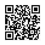 DEJF3E2103ZB3B QRCode