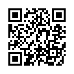 DF3067RVX13V QRCode