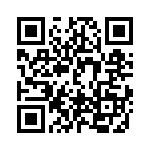 DF38076RH4V QRCode