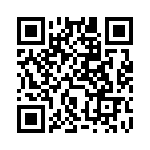 DG387AAK-883B QRCode