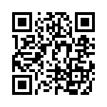 DG413DY_1A3 QRCode