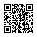 DM53744-95 QRCode