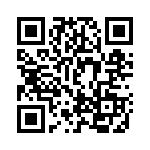 DMT4P1K QRCode