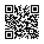 DT46303 QRCode