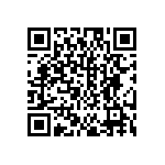 DW-01-13-T-S-955 QRCode