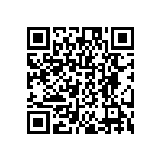 DW-02-07-T-S-217 QRCode